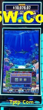 Live Casino Tptp Com